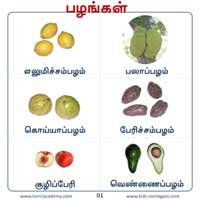 பாடங்கள்