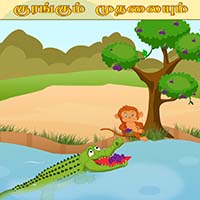 பாடங்கள்