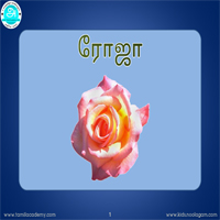 பாடங்கள்
