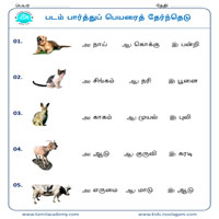 Worksheets