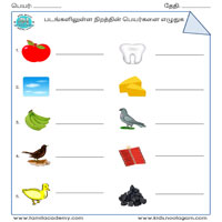 Worksheets