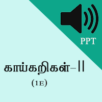 Worksheets