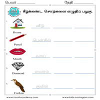 Worksheets