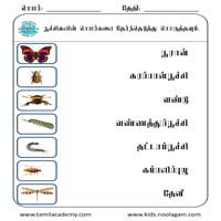 Worksheets
