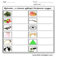 Worksheets