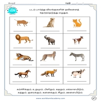 Worksheets