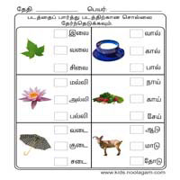 Worksheets