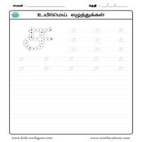 Worksheets