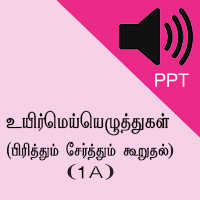 Worksheets