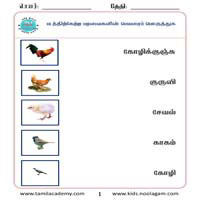 Worksheets