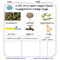 Worksheets