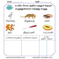 Worksheets