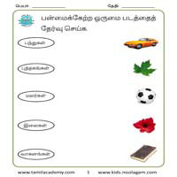 Worksheets