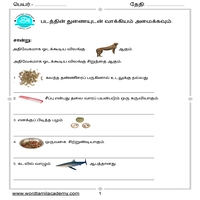 Worksheets