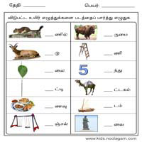 Worksheets