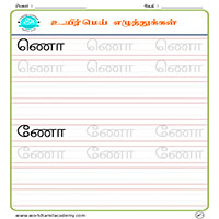 Worksheets