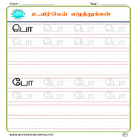 Worksheets
