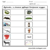 Worksheets